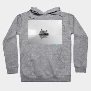 Paws Hoodie